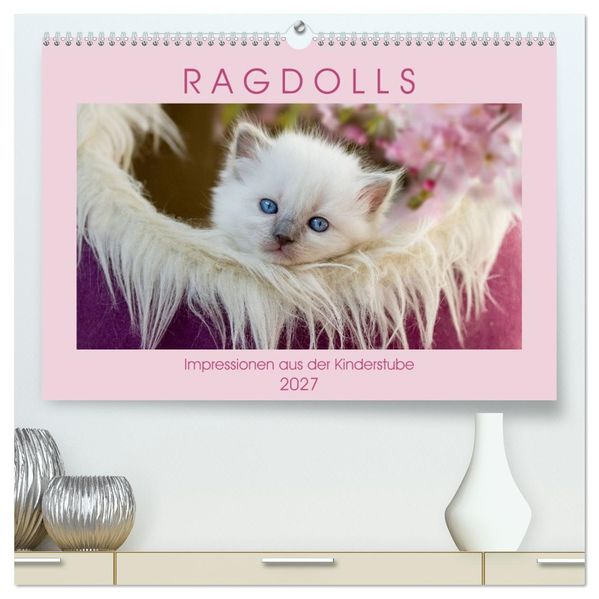 RAGDOLLS Impressionen aus der Kinderstube (hochwertiger Premium Wandkalender 2027 DIN A2 quer) Kunstdruck in Hochglanz