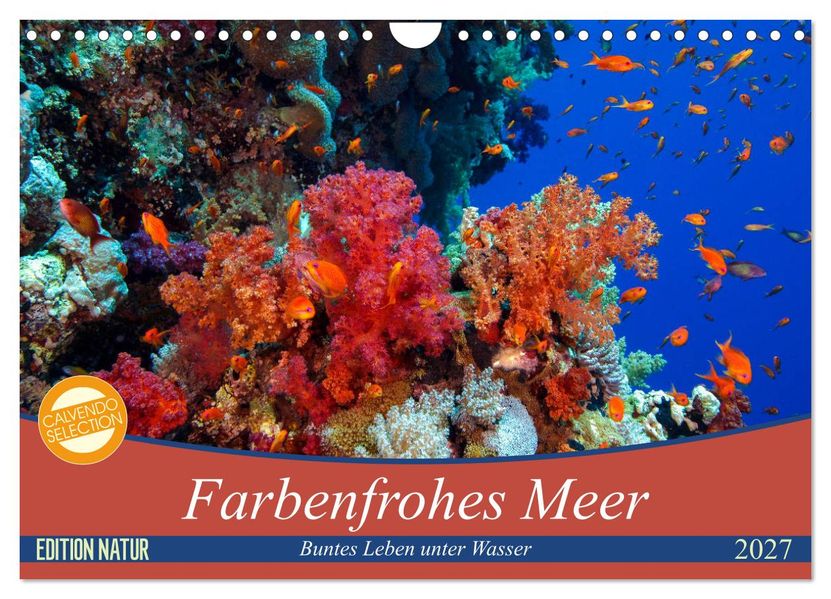 Farbenfrohes Meer (Wandkalender 2027 DIN A4 quer) CALVENDO Monatskalender