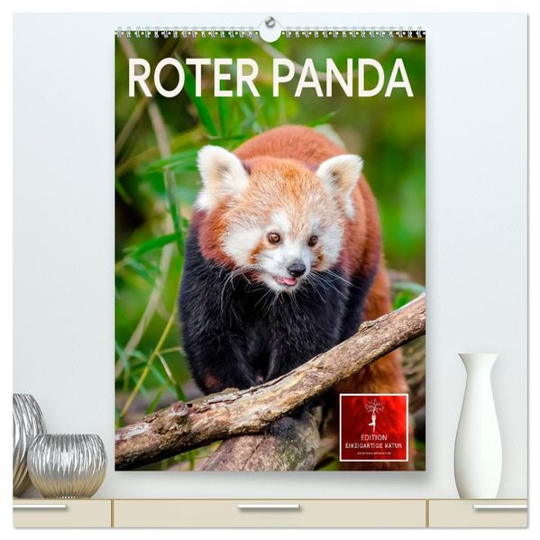 Roter Panda (hochwertiger Premium Wandkalender 2027 DIN A2 hoch) Kunstdruck in Hochglanz