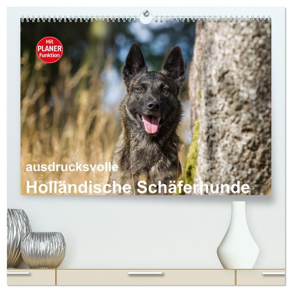 ausdrucksvolle Holländische Schäferhunde (hochwertiger Premium Wandkalender 2027 DIN A2 quer) Kunstdruck in Hochglanz