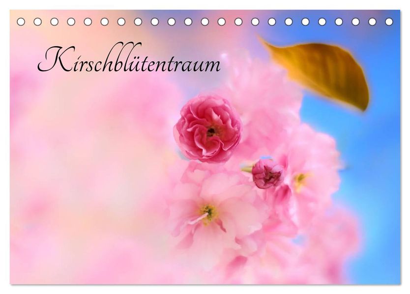 Kirschblütentraum (Tischkalender 2027 DIN A5 quer) CALVENDO Monatskalender