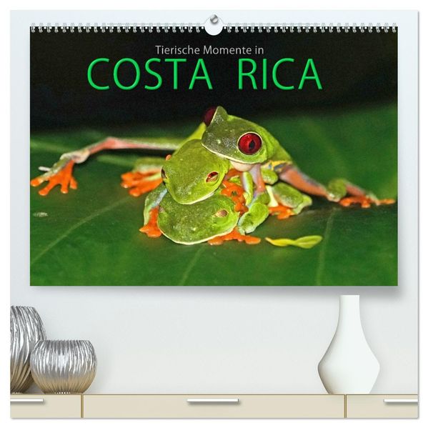 COSTA RICA - Tierische Momente (hochwertiger Premium Wandkalender 2027 DIN A2 quer) Kunstdruck in Hochglanz