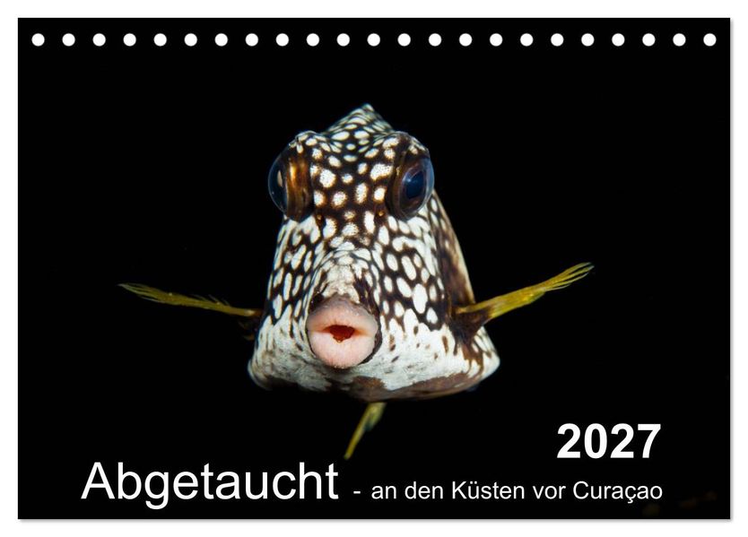 Abgetaucht - an den Küsten vor Curaçao (Tischkalender 2027 DIN A5 quer) CALVENDO Monatskalender
