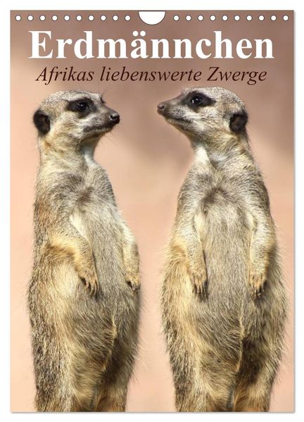 Erdmännchen - Afrikas liebenswerte Zwerge (Wandkalender 2027 DIN A4 hoch) CALVENDO Monatskalender