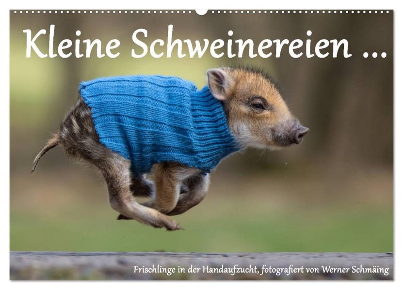 Kleine Schweinereien (Wandkalender 2027 DIN A2 quer) CALVENDO Monatskalender