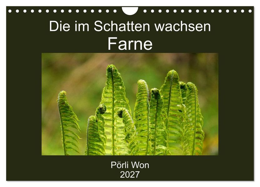 Die im Schatten wachsen - Farne (Wandkalender 2027 DIN A4 quer) CALVENDO Monatskalender