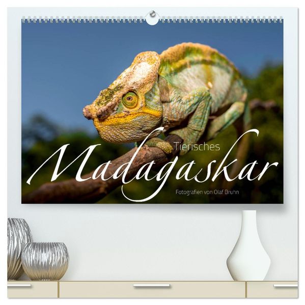 Tierisches Madagaskar (hochwertiger Premium Wandkalender 2027 DIN A2 quer) Kunstdruck in Hochglanz