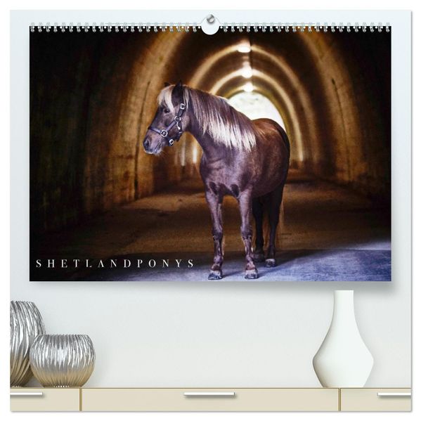 Shetlandpony Kalender (hochwertiger Premium Wandkalender 2027 DIN A2 quer) Kunstdruck in Hochglanz
