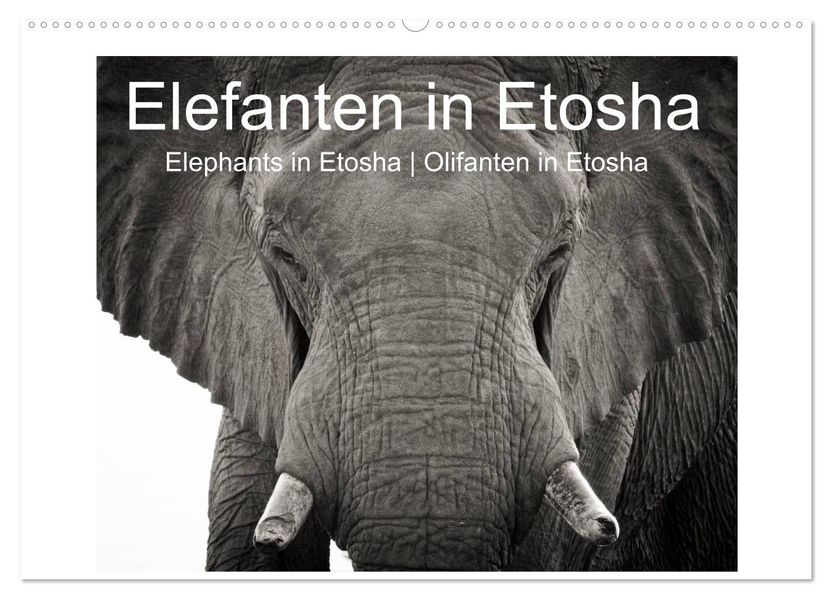 Elefanten in Etosha (Wandkalender 2027 DIN A2 quer) CALVENDO Monatskalender