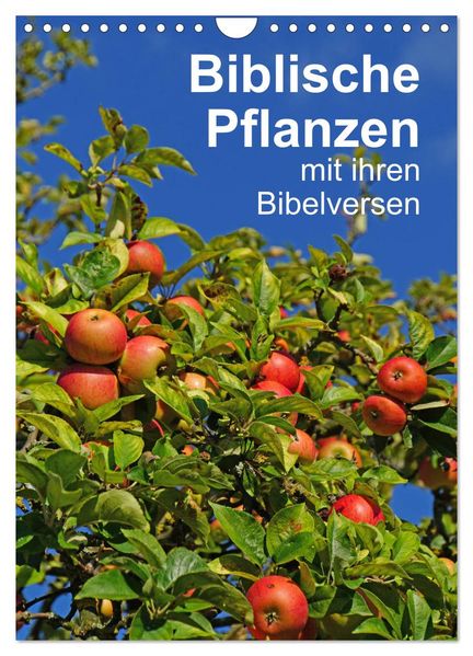 Biblische Pflanzen mit ihren Bibelversen (Wandkalender 2027 DIN A4 hoch) CALVENDO Monatskalender