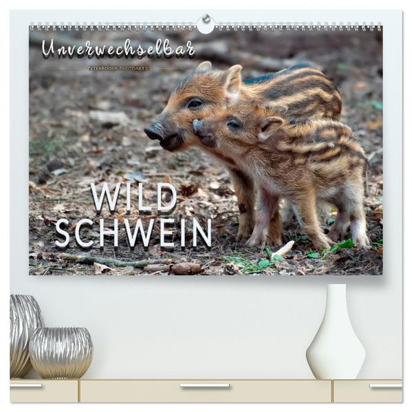 Unverwechselbar - Wildschwein (hochwertiger Premium Wandkalender 2027 DIN A2 quer) Kunstdruck in Hochglanz