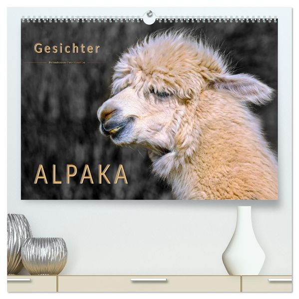 Alpaka Gesichter (hochwertiger Premium Wandkalender 2027 DIN A2 quer) Kunstdruck in Hochglanz