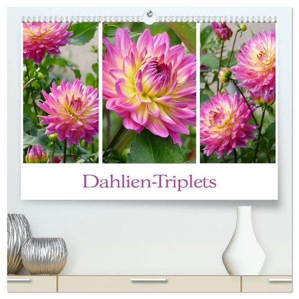 Dahlien-Triplets (hochwertiger Premium Wandkalender 2027 DIN A2 quer) Kunstdruck in Hochglanz