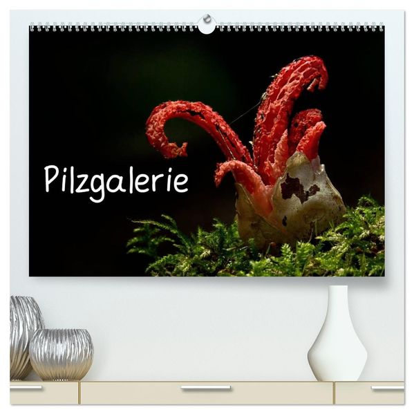 Pilzgalerie (hochwertiger Premium Wandkalender 2027 DIN A2 quer) Kunstdruck in Hochglanz