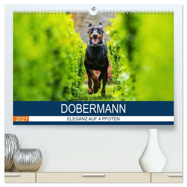Dobermann 2027 (hochwertiger Premium Wandkalender 2027 DIN A2 quer) Kunstdruck in Hochglanz