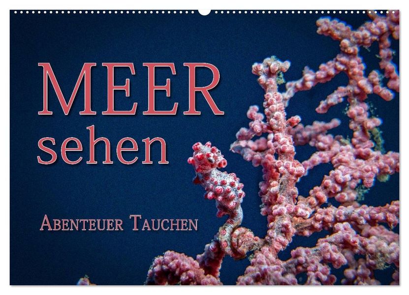 Meer sehen - Abenteuer Tauchen (Wandkalender 2027 DIN A2 quer) CALVENDO Monatskalender