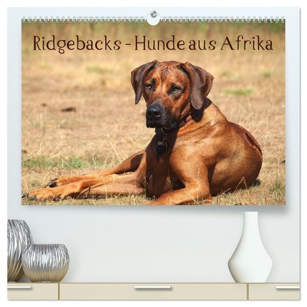 Ridgebacks - Hunde aus Afrika (hochwertiger Premium Wandkalender 2027 DIN A2 quer) Kunstdruck in Hochglanz