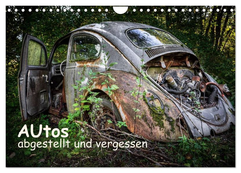 Autos abgestellt und vergessen (Wandkalender 2027 DIN A4 quer) CALVENDO Monatskalender