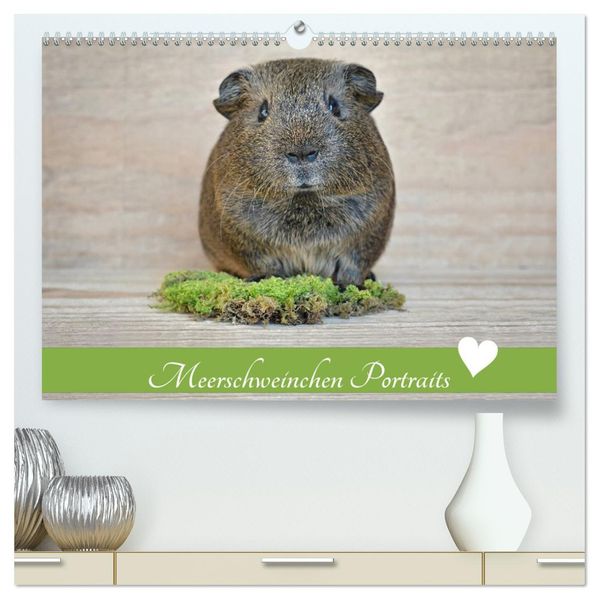 Meerschweinchen Portraits (hochwertiger Premium Wandkalender 2027 DIN A2 quer) Kunstdruck in Hochglanz