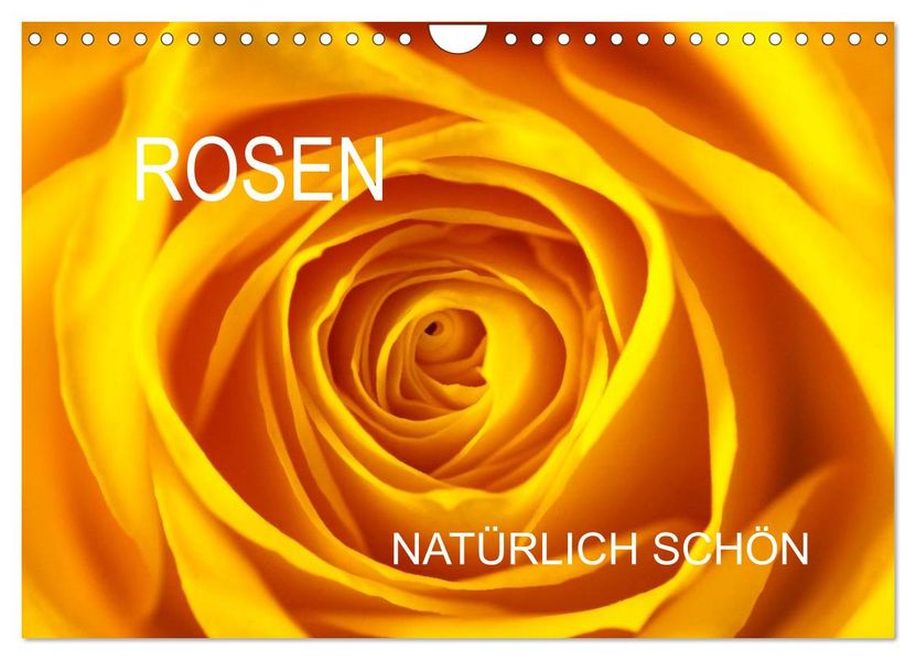 Rosen natürlich schön (Wandkalender 2027 DIN A4 quer) CALVENDO Monatskalender