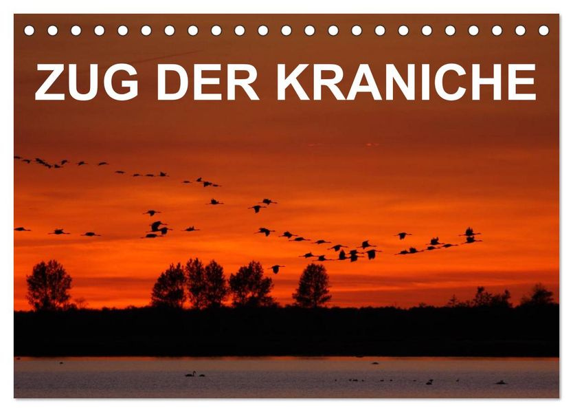 Zug der Kraniche (Tischkalender 2027 DIN A5 quer) CALVENDO Monatskalender