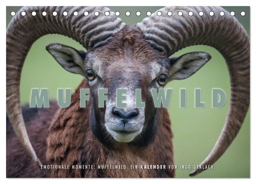 Emotionale Momente: Muffelwild. (Tischkalender 2027 DIN A5 quer) CALVENDO Monatskalender