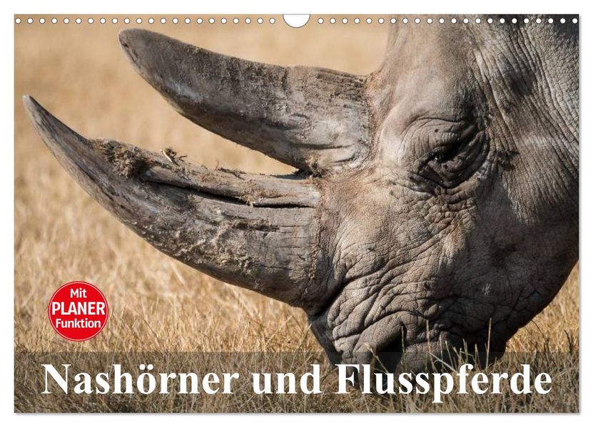 Nashörner und Flusspferde (Wandkalender 2027 DIN A3 quer) CALVENDO Monatskalender