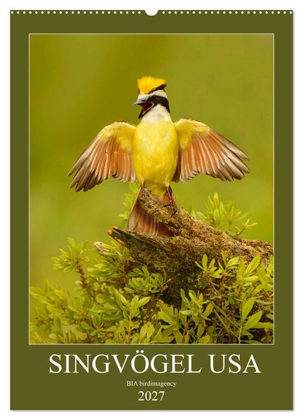 Singvögel USA (Wandkalender 2027 DIN A2 hoch) CALVENDO Monatskalender
