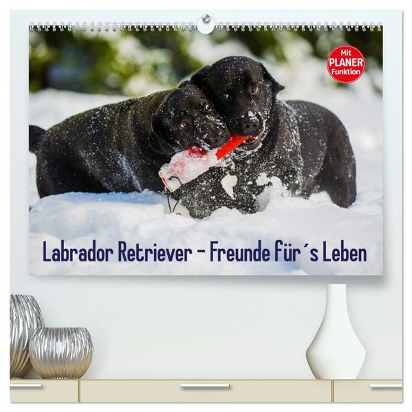 Labrador Retriever - Freunde fürs Leben (hochwertiger Premium Wandkalender 2027 DIN A2 quer) Kunstdruck in Hochglanz