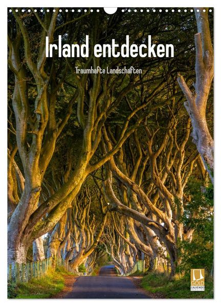 Irland entdecken (Wandkalender 2027 DIN A3 hoch) CALVENDO Monatskalender