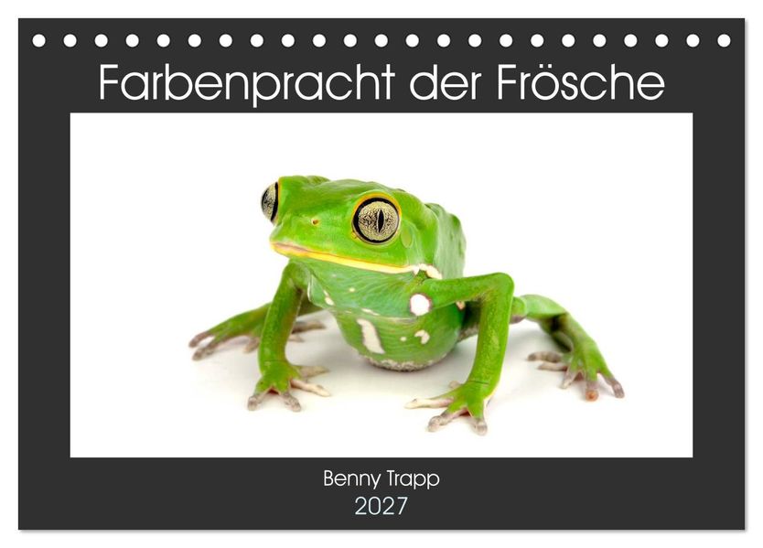Farbenpracht der Frösche (Tischkalender 2027 DIN A5 quer) CALVENDO Monatskalender