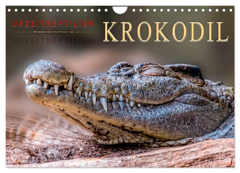 Urzeitreptilien - Krokodil (Wandkalender 2027 DIN A4 quer) CALVENDO Monatskalender