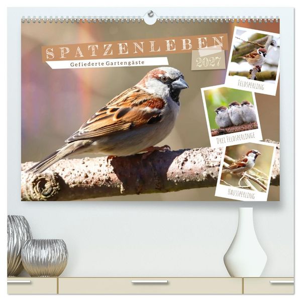 Gefiederte Gartengäste Spatzenleben (hochwertiger Premium Wandkalender 2027 DIN A2 quer) Kunstdruck in Hochglanz