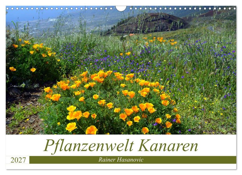 Pflanzenwelt Kanaren (Wandkalender 2027 DIN A3 quer) CALVENDO Monatskalender