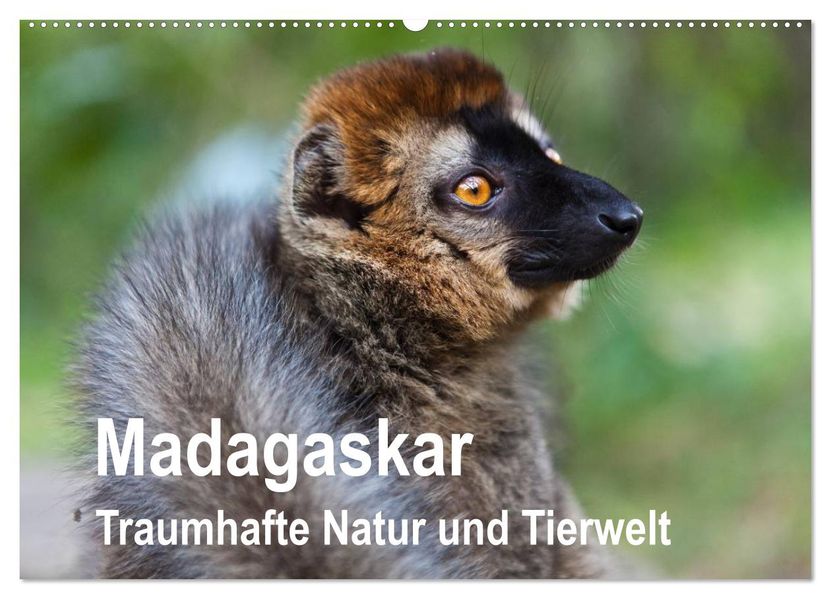 Madagaskar. Traumhafte Natur und Tierwelt (Wandkalender 2027 DIN A2 quer) CALVENDO Monatskalender