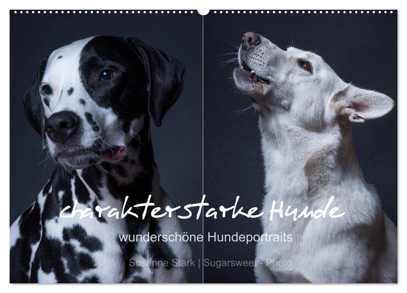 charakterstarke Hunde wunderschöne Hundeportraits (Wandkalender 2027 DIN A2 quer) CALVENDO Monatskalender