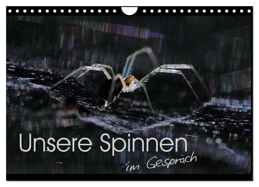Unsere Spinnen - im Gespräch (Wandkalender 2027 DIN A4 quer) CALVENDO Monatskalender