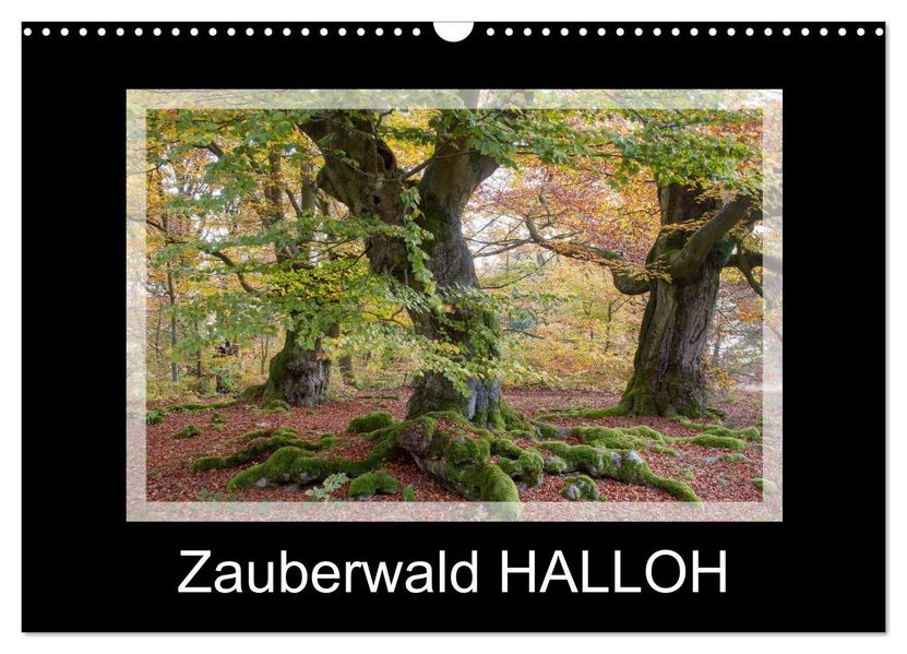 Zauberwald HALLOH (Wandkalender 2027 DIN A3 quer) CALVENDO Monatskalender