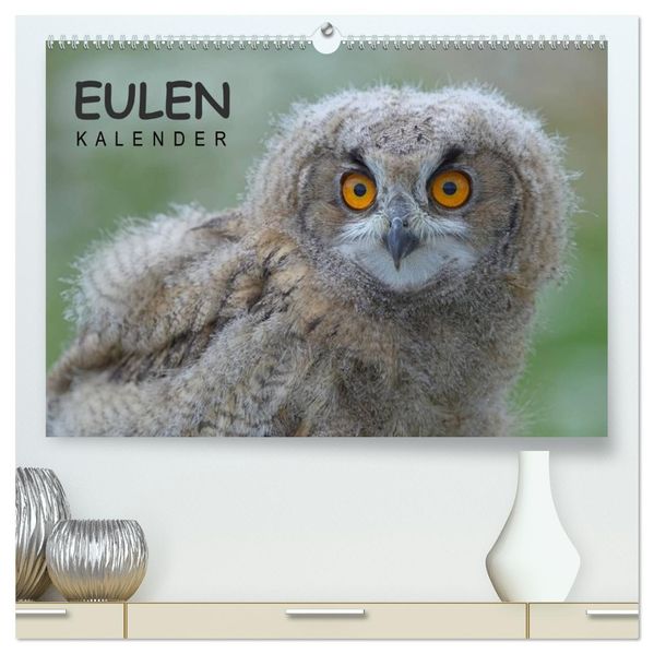 Eulen-Kalender (hochwertiger Premium Wandkalender 2027 DIN A2 quer) Kunstdruck in Hochglanz