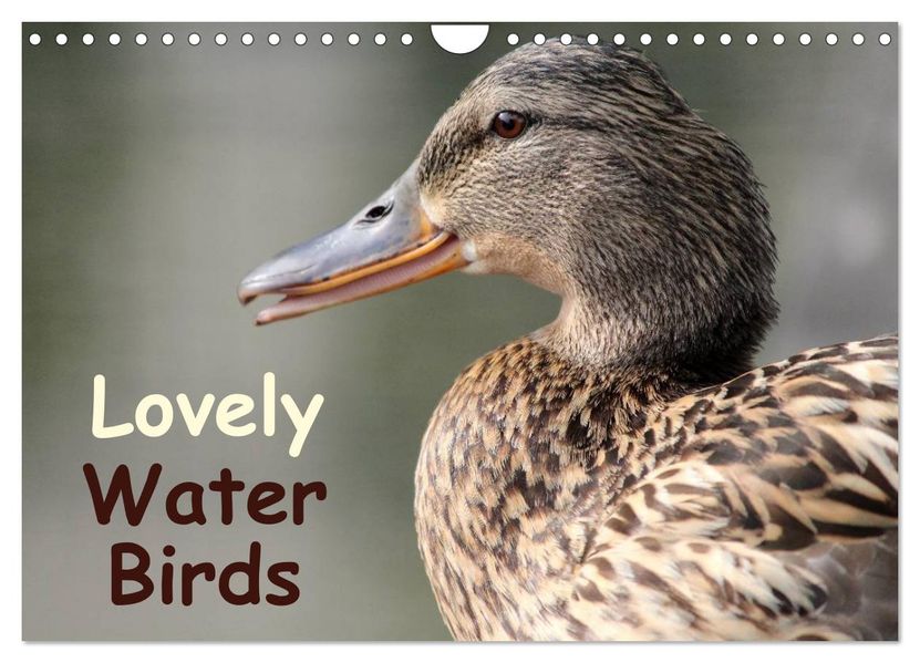 Lovely Water Birds (Wall Calendar 2027 DIN A4 landscape) CALVENDO 12 Month Wall Calendar