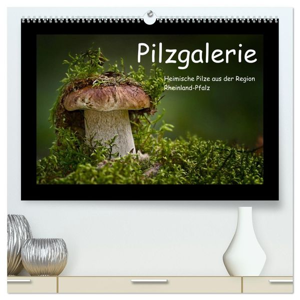 Pilzgalerie - Heimische Pilze aus der Region Rheinland-Pfalz (hochwertiger Premium Wandkalender 2027 DIN A2 quer) Kunstdruck in Hochglanz