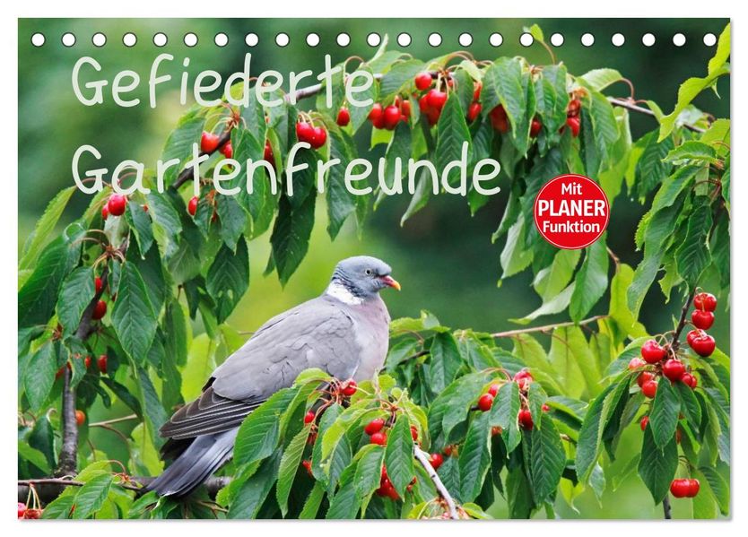 Gefiederte Gartenfreunde (Tischkalender 2027 DIN A5 quer) CALVENDO Monatskalender