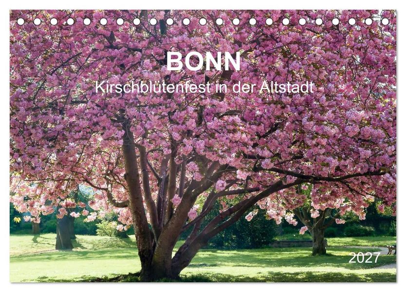 Bonn - Kirschblütenfest in der Altstadt (Tischkalender 2027 DIN A5 quer) CALVENDO Monatskalender