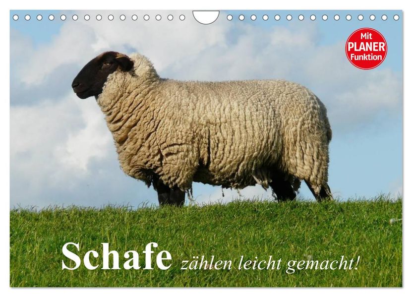 Schafe zählen leicht gemacht! (Wandkalender 2027 DIN A4 quer) CALVENDO Monatskalender