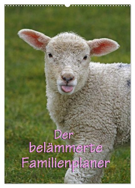 Der belämmerte Familienplaner (Wandkalender 2027 DIN A2 hoch) CALVENDO Monatskalender