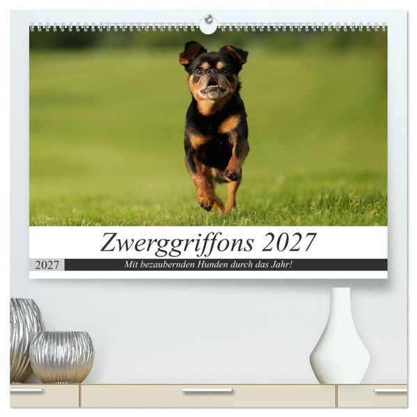 Zwerggriffons 2027 (hochwertiger Premium Wandkalender 2027 DIN A2 quer) Kunstdruck in Hochglanz