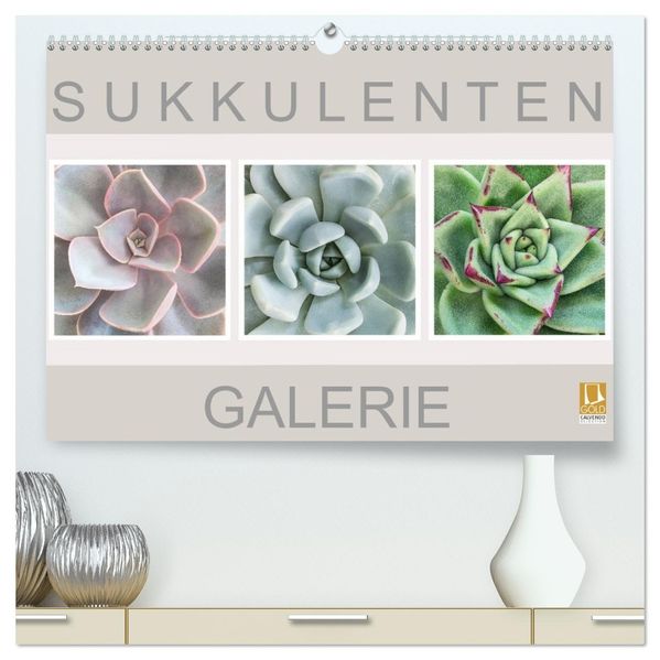 Sukkulenten Galerie (hochwertiger Premium Wandkalender 2027 DIN A2 quer) Kunstdruck in Hochglanz