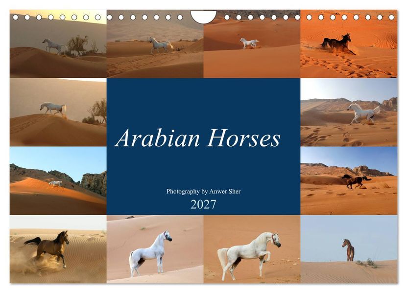 Arabian Horses (Wall Calendar 2027 DIN A4 landscape) CALVENDO 12 Month Wall Calendar