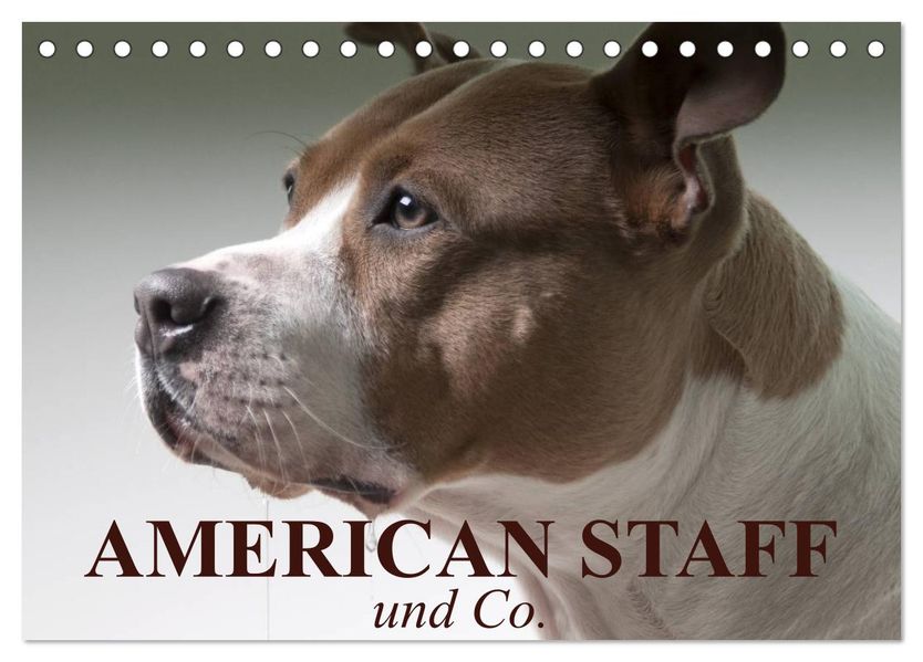 American Staff und Co. (Tischkalender 2027 DIN A5 quer) CALVENDO Monatskalender
