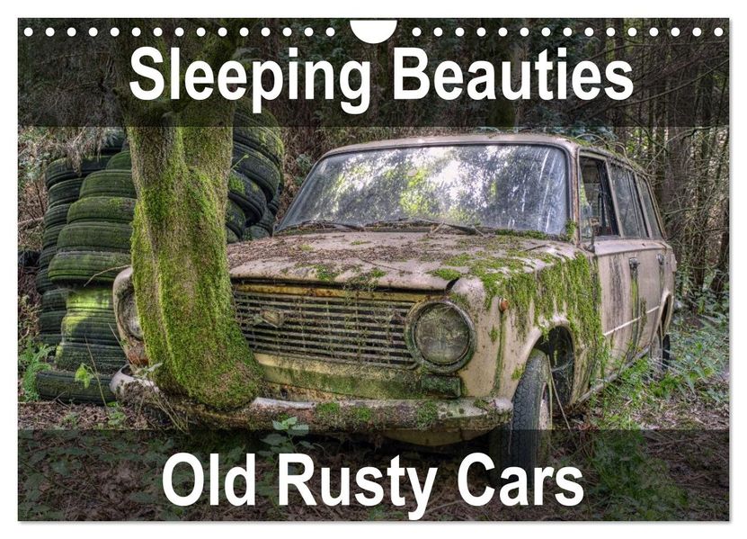 Sleeping Beauties Old Rusty Cars (Wall Calendar 2027 DIN A4 landscape) CALVENDO 12 Month Wall Calendar